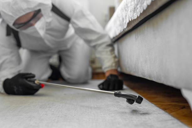 Professional Cockroach Control technician working in Braddock Hills, PA
