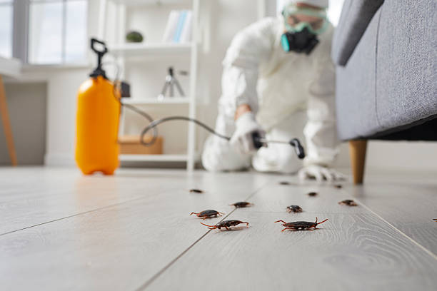 Trusted Cockroach Control service in Braddock Hills, PA - Nex Pest Control