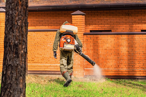 Trusted Ant Control service in Braddock Hills, PA - Nex Pest Control
